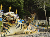 Tiger Statue  Tiger Cave Temple (Wat Tham Suea)  Krabi Province  Thailand  Southeast Asia  Asia