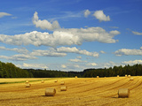 Rural Scene  Villingen-Schwenningen  Black Forest  Schwarzwald-Baar  Baden-Wurttemberg  Germany