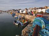 Looking Down the Harbour at Saint Vaast La Hougue  Cotentin Peninsula  Normandy  France  Europe