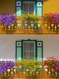 Balconies and Flowers  Pozza di Fassa  Fassa Valley  Trentino-Alto Adige/South Tyrol  Italy