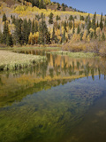 Silver Lake in the Fall  Wasatch-Cache National Forest  Utah  USA  North America