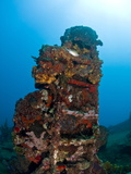 Ladder on Wreck of Lesleen M Freighter  Sunk in 1985 in Anse Cochon Bay  St Lucia