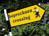 Leprechaun Crossing Signpost  County Kerry  Munster  Republic of Ireland  Europe