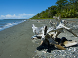 Beach at Savo Island  Savo  Solomon Islands  Pacific