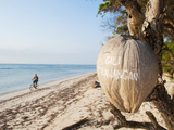Gili Trawangan Written on a Coconut  Gili Islands  Indonesia  Southeast Asia  Asia