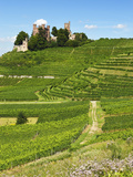 Ortenberg Castle  Ortenberg  Ortenau  Baden-Wurttemberg  Germany  Europe