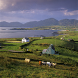 View over Allihies and Ballydonegan Bay  Beara Peninsula  County Cork  Munster  Republic of Ireland