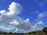 Cornfields  Exe Valley  Devon  England  United Kingdom  Europe