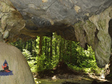 View from Cave to Rainforest  Tiger Cave Temple (Wat Tham Suea)  Krabi Province  Thailand