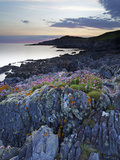 Bull Point  North Devon  Devon  England  United Kingdom  Europe