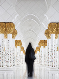 Sheikh Zayed Mosque  Abu Dhabi  United Arab Emirates  Middle East