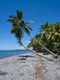 Beach on Savo Island  Savo  Solomon Islands  Pacific