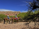 Horse Riding  Canon del Inca  Tupiza Chichas Range  Bolivia  South America