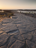 The Ledges on Kilve Beach  Somerset  England  United Kingdom  Europe