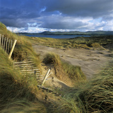 Sand Dunes  Strandhill  County Sligo  Connacht  Repubic of Ireland  Europe