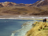 Laguna Canapa  South Lipez  Southwest Highlands  Bolivia  South America