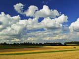 Rural Scene  Villingen-Schwenningen  Black Forest  Schwarzwald-Baar  Baden-Wurttemberg  Germany