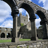 Ruins of Cistercian Jerpoint Abbey  Jerpoint  County Kilkenny  Leinster  Republic of Ireland
