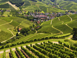 View of Vineyards and Durbach Village  Ortenau  Baden-Wurttemberg  Germany  Europe
