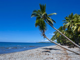 Beach on Savo Island  Savo  Solomon Islands  Pacific