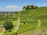 Ortenberg Castle  Ortenberg  Ortenau  Baden-Wurttemberg  Germany  Europe