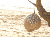 Beach Cafe Written on a Coconut on Gili Trawangan  Gili Isles Archipelago  Indonesia