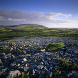 Limestone Pavement  the Burren  County Clare  Munster  Republic of Ireland  Europe