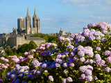 Panorama with Pink and Blue Hydrangeas and Notre Dame Cathedral  Coutances  Cotentin  France
