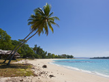 White Sand Beach in Port Orly  Island of Espiritu Santo  Vanuatu  South Pacific  Pacific