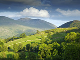 Matterdale Common  Near Dale Bottom  Lake District National Park  Cumbria  England  UK  Europe