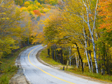 Grafton Notch State Park  Maine  New England  United States of America  North America