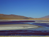Laguna Colorada (Red Lagoon)  Eduardo Avaroa Andean Fauna Nat'l Reserve  Bolivia