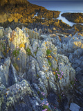Morte Point  Devon  England  United Kingdom  Europe