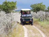 Ongava Game Reserve  Namibia  Africa