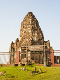 Monkeys Playing at Phra Prang Sam Yot Buddhist Temple  Lopburi  Thailand  Southeast Asia  Asia