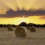 Hay Bales at Sunset  East Sussex  England  United Kingdom  Europe