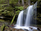 Fern Falls  Coeur D'Alene National Forest  Idaho Panhandle National Forests  Idaho  USA