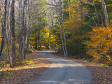 Grafton  Vermont  New England  United States of America  North America