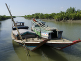 Boats in a Waterway with Mangrove Trees  Irrawaddy Delta  Myanmar (Burma)  Asia