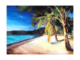 Beach at Magens Bay  St Thomas  USVI - I