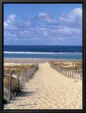 Cape Ferret  Basin d'Arcachon  Gironde  Aquitaine  France
