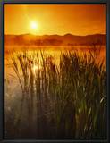 Sunrise over a Misty Pond and the Presidential Mountains