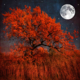 Halloween Color