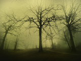 The Scary Place