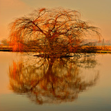Golden Tree