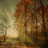 Ray Fall
