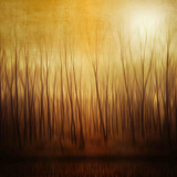 Ghost Forest