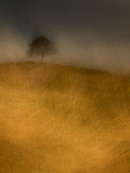 Harvest Storm Passing
