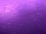 Purple Rain