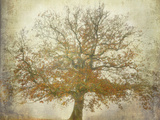 Textured Tree